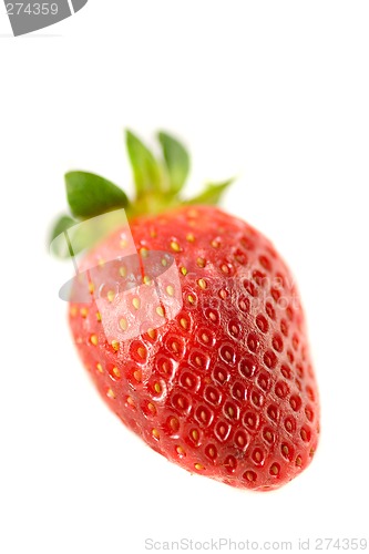 Image of Striking Strawberry 4