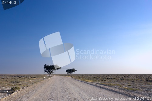 Image of Country road