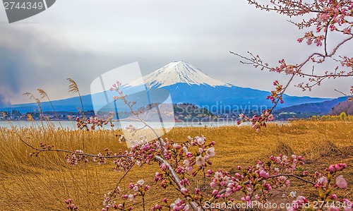 Image of Mt Fuji