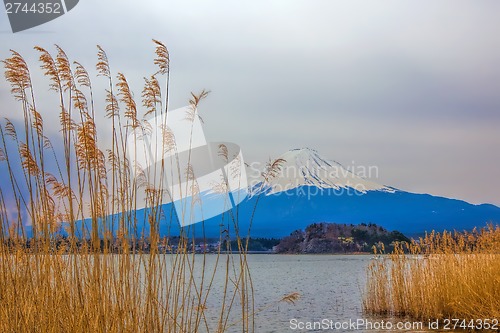 Image of Mt Fuji