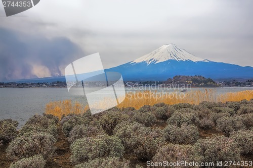 Image of Mt Fuji