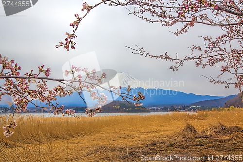 Image of Mt Fuji