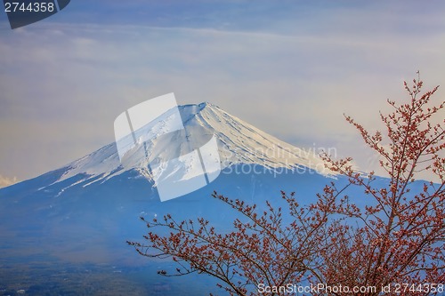 Image of Mt Fuji