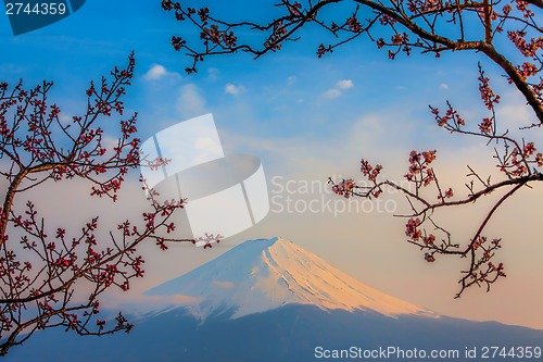 Image of Mt Fuji