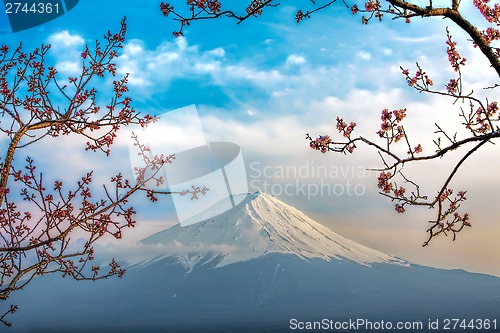 Image of Mt Fuji