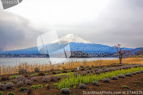 Image of Mt Fuji