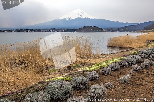 Image of Mt Fuji