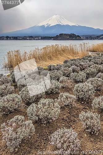 Image of Mt Fuji