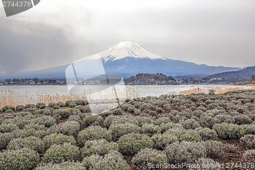 Image of Mt Fuji