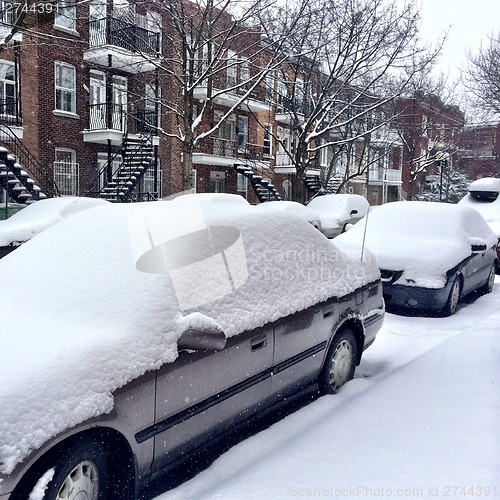 Image of Cars covered by snow after the snowstorm