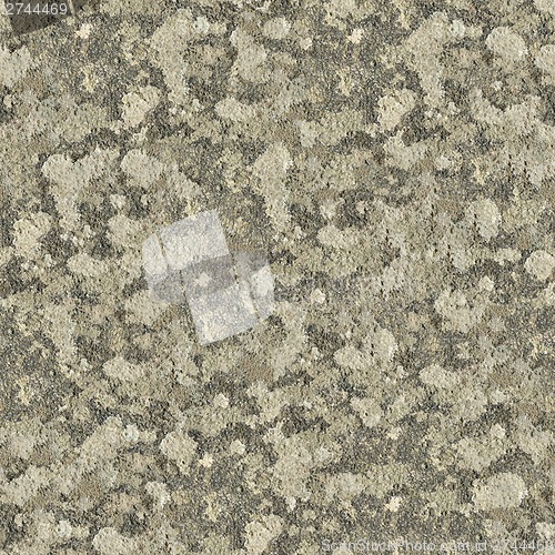 Image of Seamless Texture of Weathered Concrete Surface.