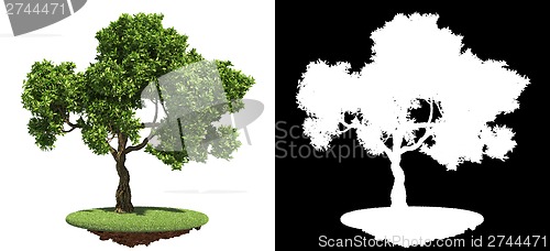 Image of Green Tree Isolated on White Background.