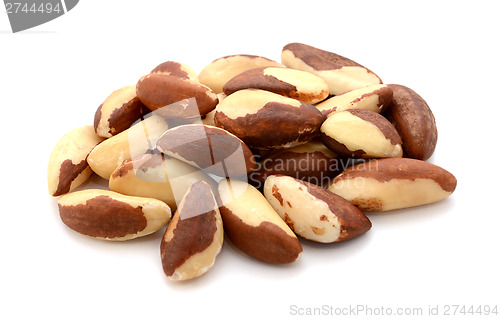Image of Whole brazil nuts