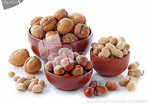 Image of various kinds of nuts