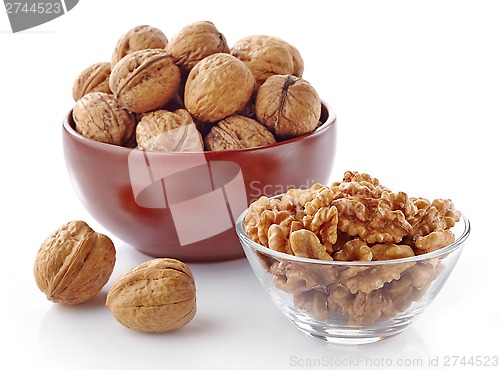 Image of various kinds of walnuts