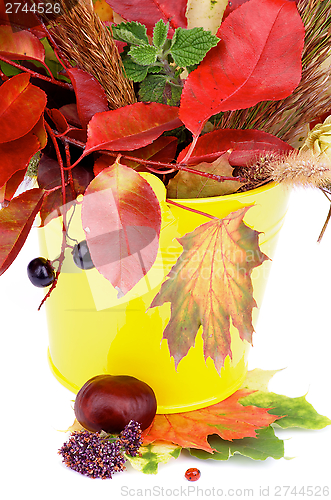 Image of Autumn Bunch