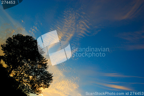 Image of Sunset silhouette