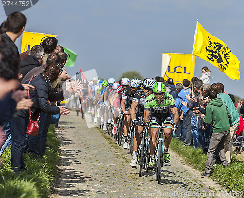 Image of The Peloton- Paris Roubaix 2014