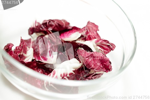 Image of Radicchio salad in the bowl isolated