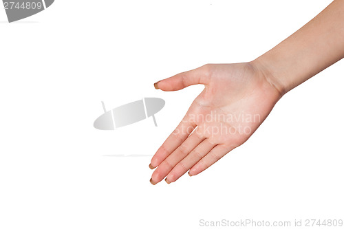 Image of Hand a Female person who is  willing to make a deal isolated on 