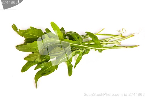 Image of Arugula/rucola  fresh heap leaf on white