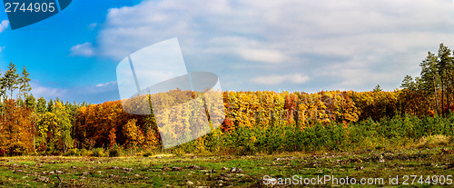 Image of Autumn forest panorama