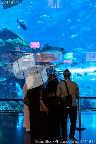 Image of Largest aquarium of the world in Dubai Mall