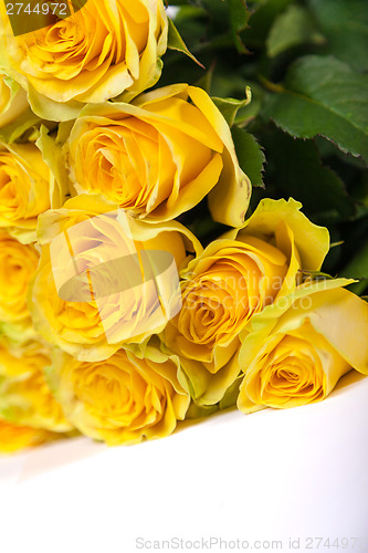 Image of Group of fresh yellow roses