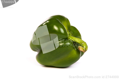 Image of A green sweet  bell pepper isolated on white