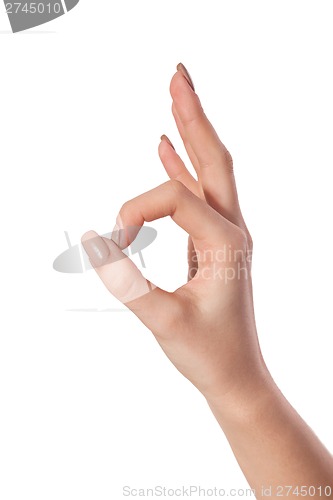 Image of Hand  is showing OK sign isolated on white