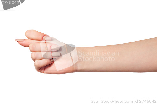 Image of Hand is showing a fig sign isolated on white