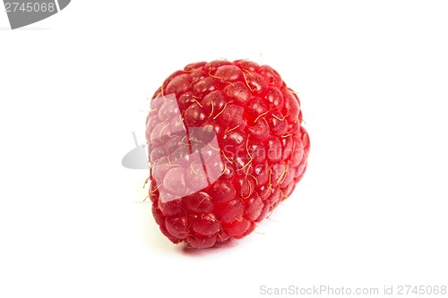 Image of Single fresh raspberry, isolated on  white. Close up macro shot