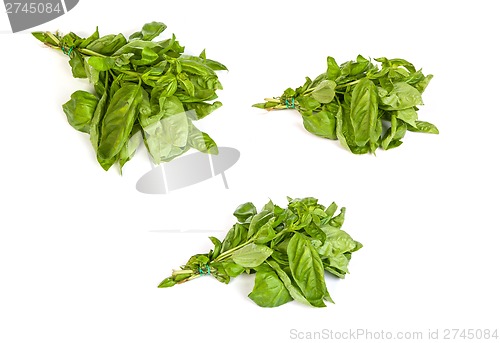 Image of set of Fresh green basil leaves on white background