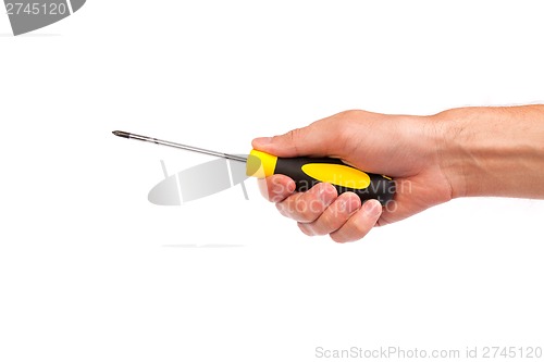 Image of Hand holding a yellow and black screwdriver