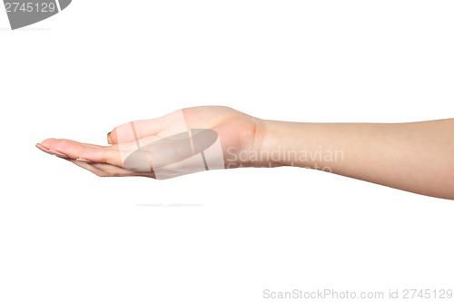 Image of Open palm hand gesture of Female hand