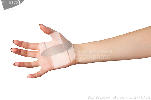 Image of Female hand reaching for something on white