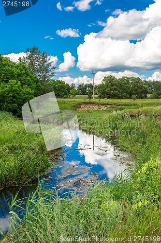 Image of Summer landscape with river