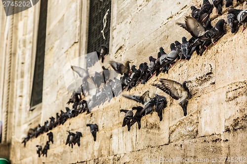 Image of Mosque near the Galata Bridge