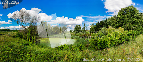 Image of Panorama of summer morning lake