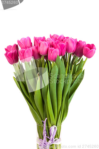 Image of Bunch of tulips on a white