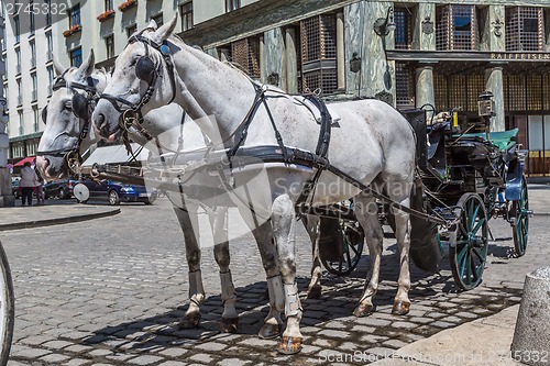 Image of Traditional coach (Fiaker) today traveling tourists in Vienna, A