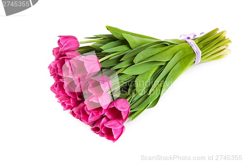 Image of Bunch of tulips on a white