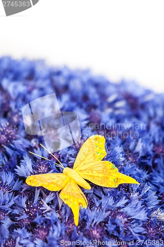 Image of Spring blue cornflower with yellow butterfly