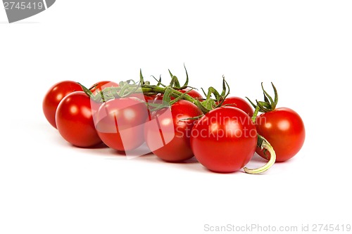 Image of Juicy organic Cherry tomatoes isolated