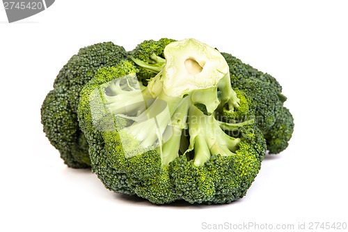 Image of Single broccoli floret isolated on white