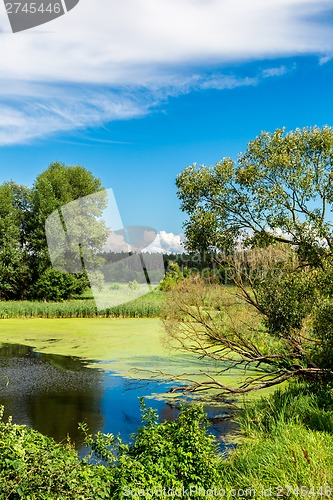 Image of Panorama of summer morning lake