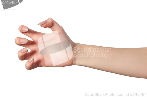 Image of Female hand reaching for something on white