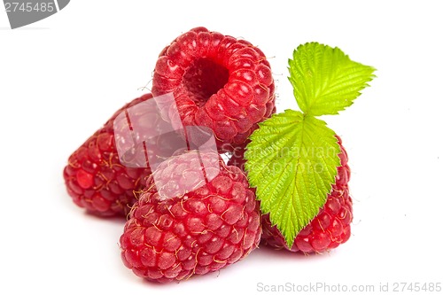 Image of Bunch of a red raspberry on a white background. Close up macro s