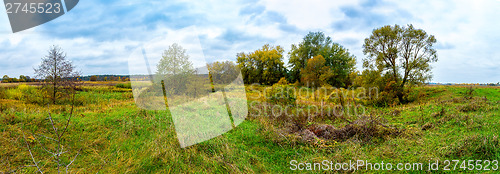 Image of Autumn forest panorama