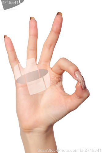 Image of Hand  is showing OK sign isolated on a white background